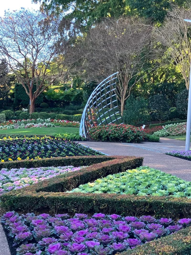 Photo from Friday, July 11, 2025