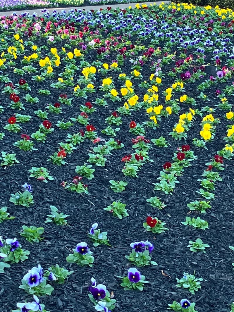 Photo from Tuesday, July 15, 2025