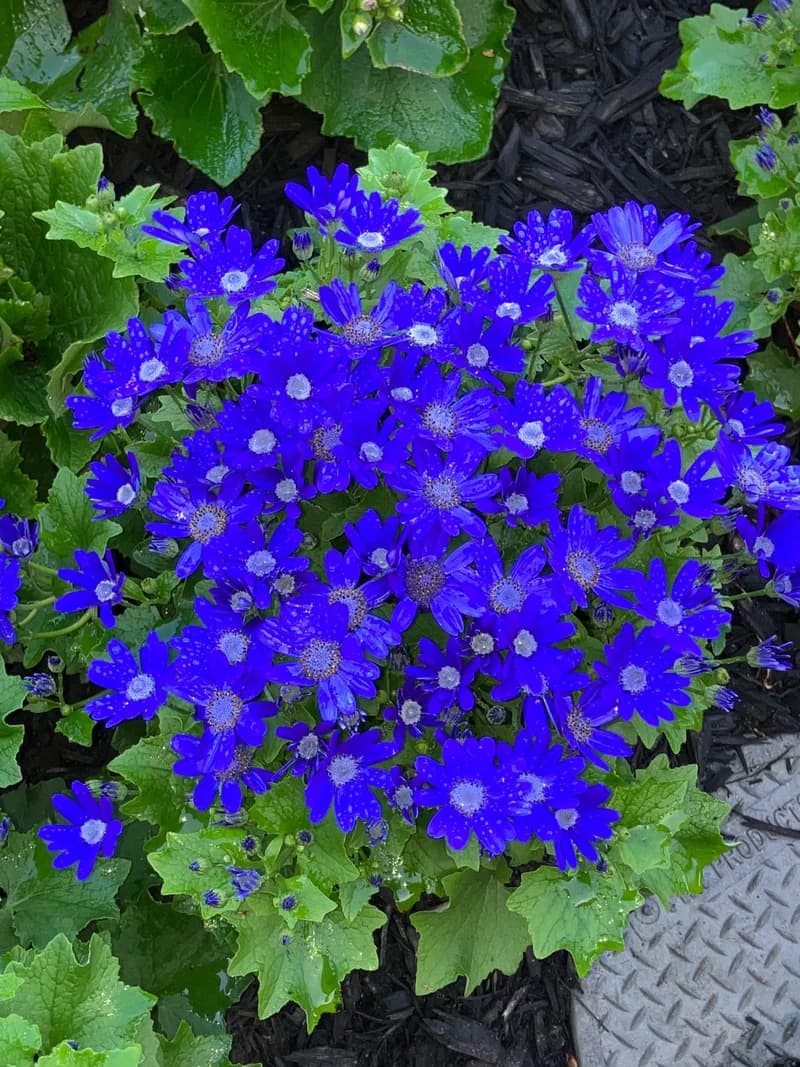 Photo from Tuesday, July 22, 2025