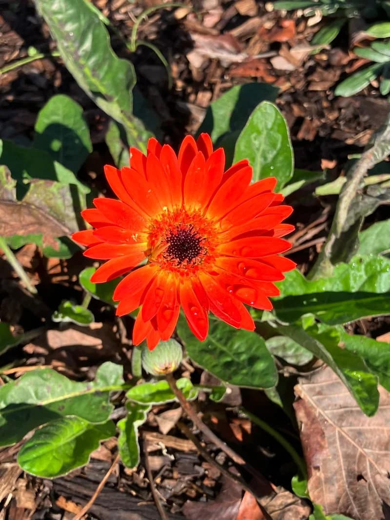 Photo from Thursday, July 24, 2025