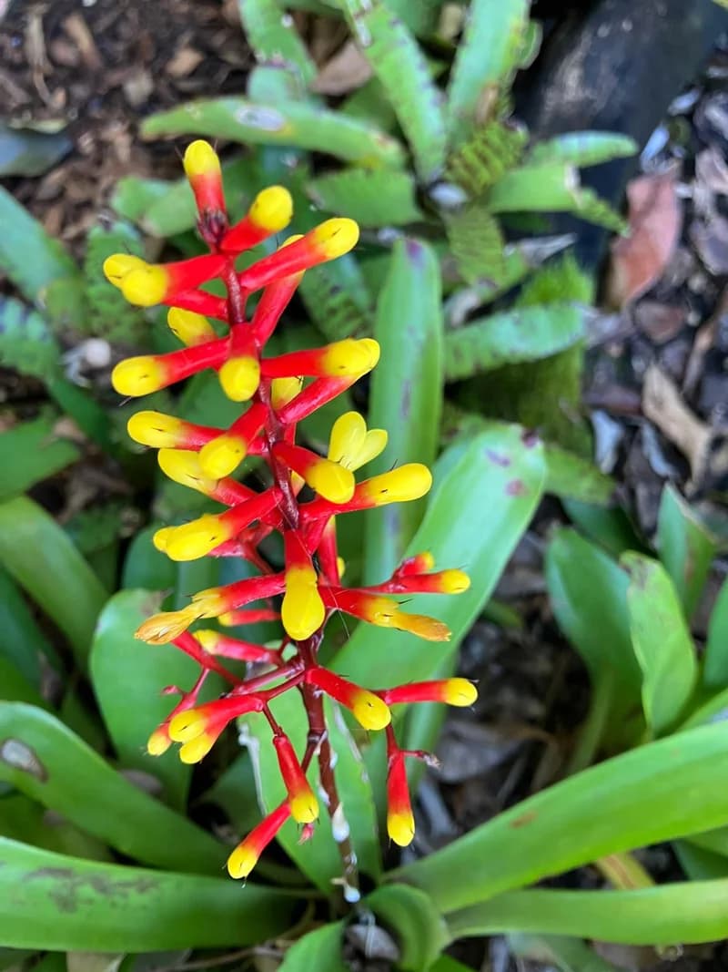 Photo from Monday, July 28, 2025