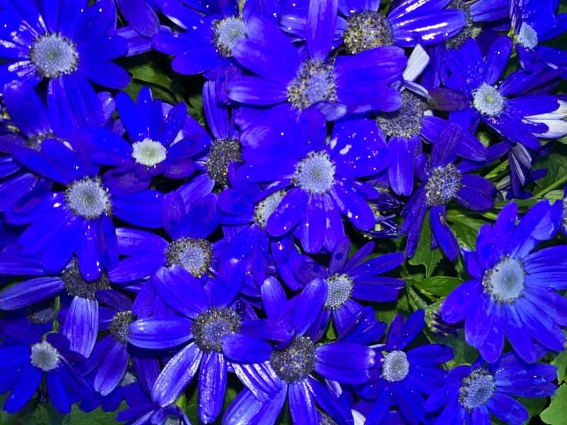 Photo from Sunday, August 3, 2025