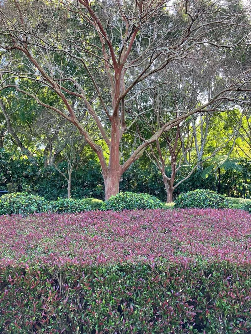 Photo from Friday, August 22, 2025