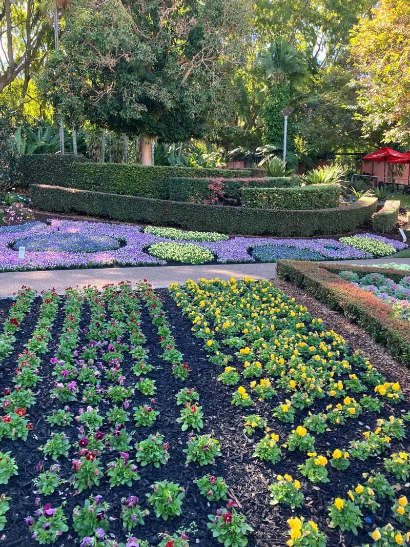 Photo from Saturday, August 23, 2025