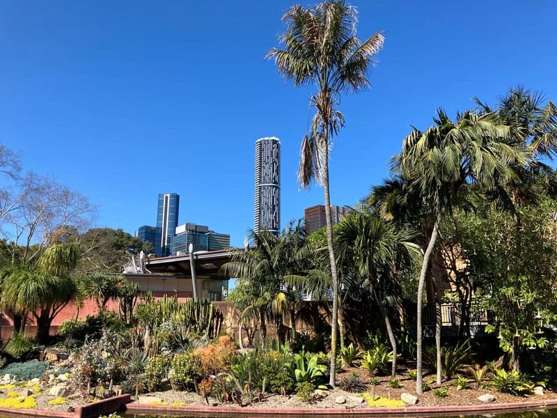 Photo from Monday, August 25, 2025