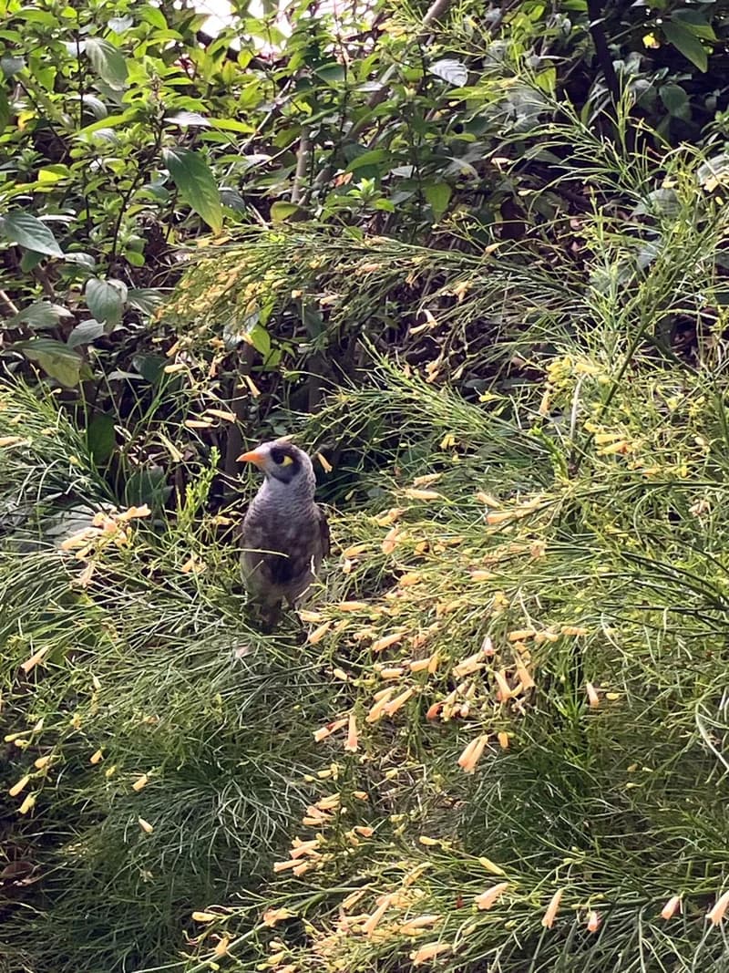 Photo from Tuesday, August 26, 2025