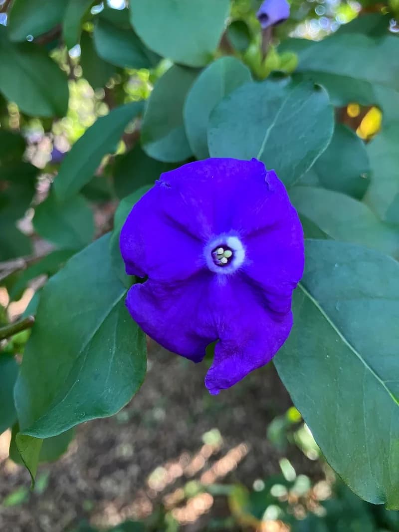 Photo from Tuesday, September 2, 2025