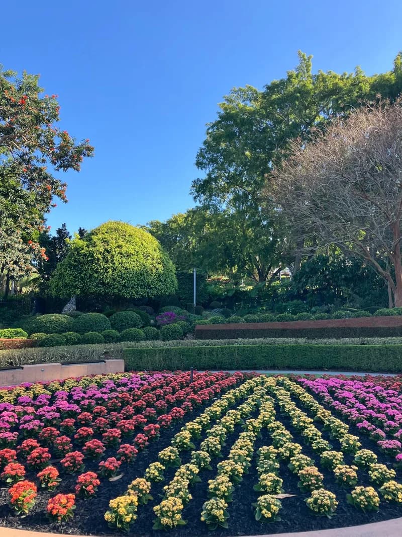 Photo from Thursday, September 4, 2025