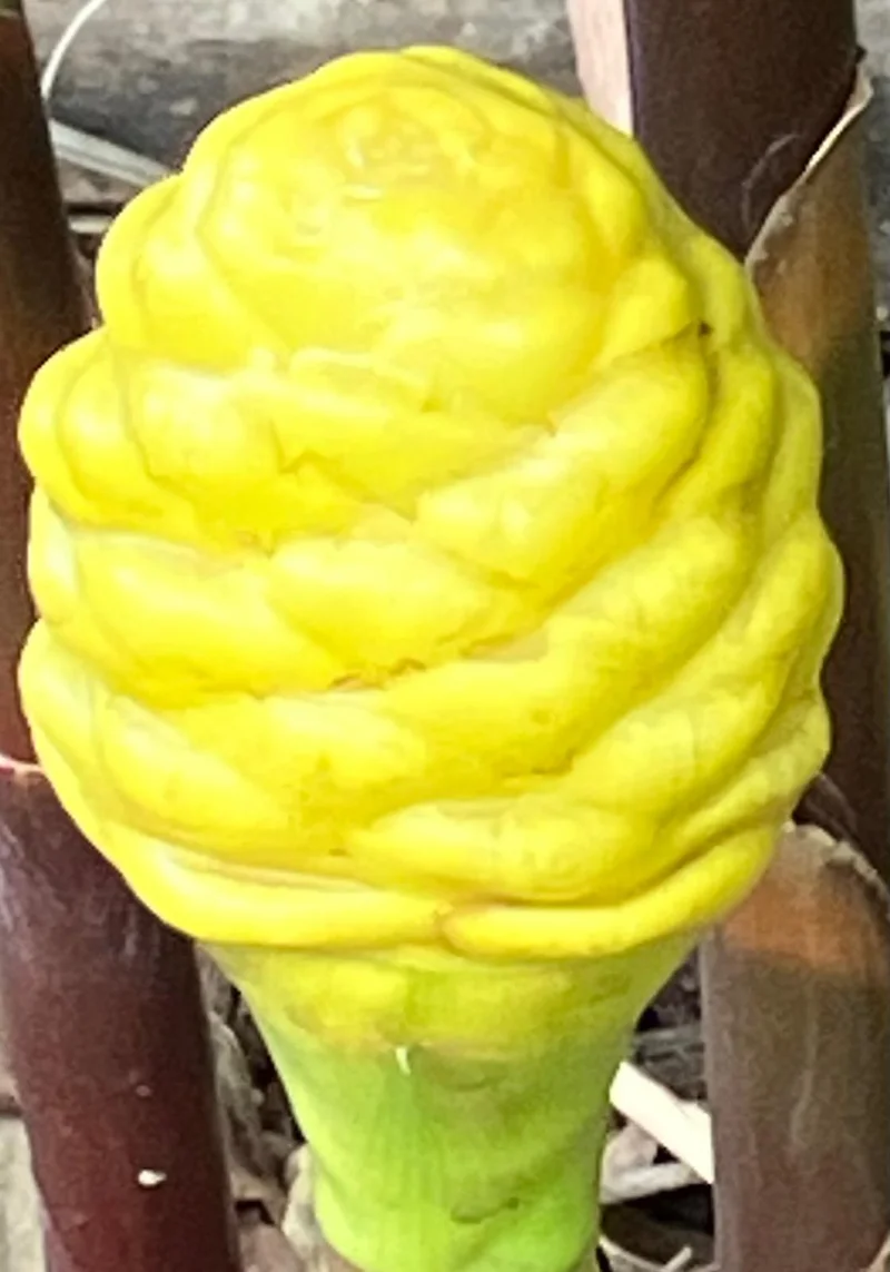 Photo from Wednesday, September 10, 2025