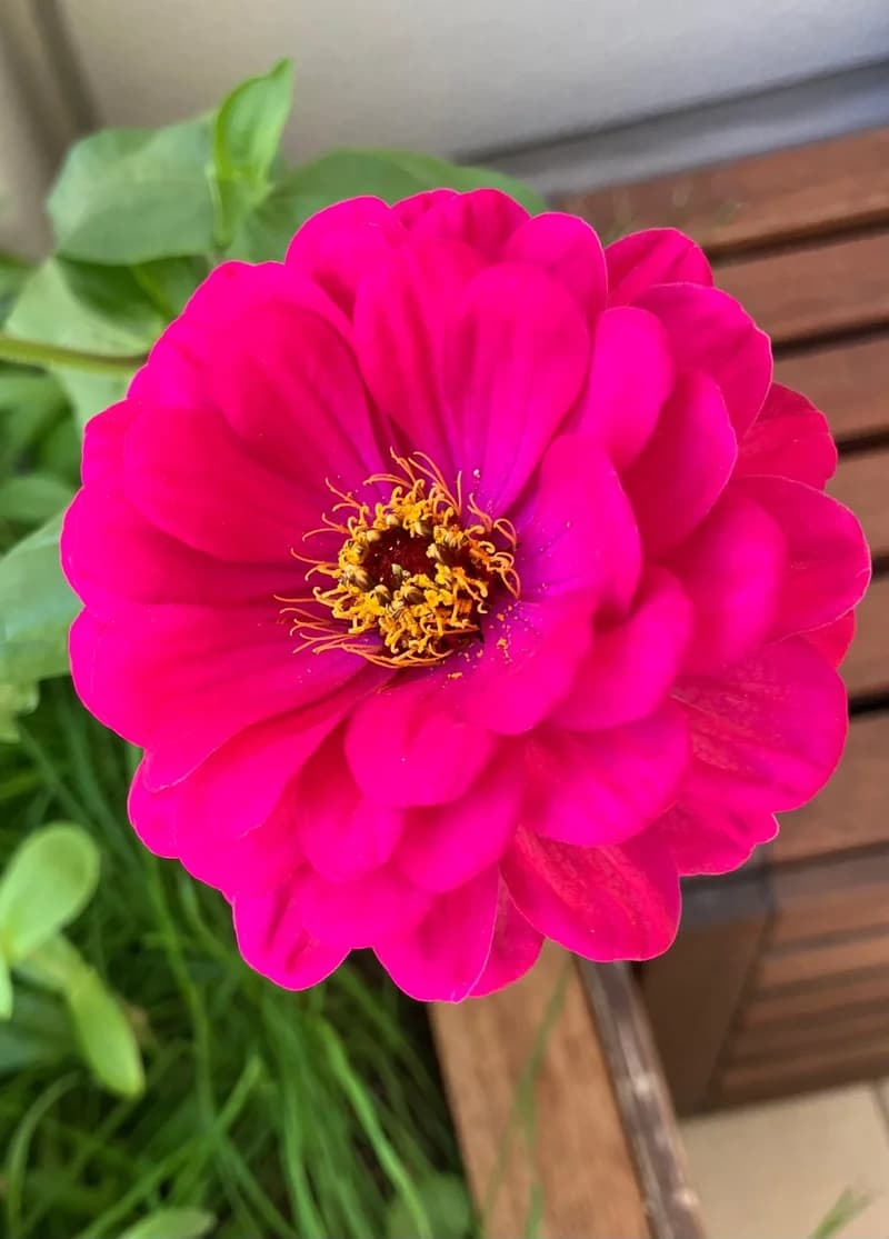 Photo from Thursday, September 11, 2025