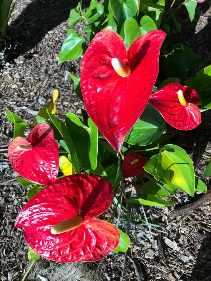 Photo from Friday, September 12, 2025