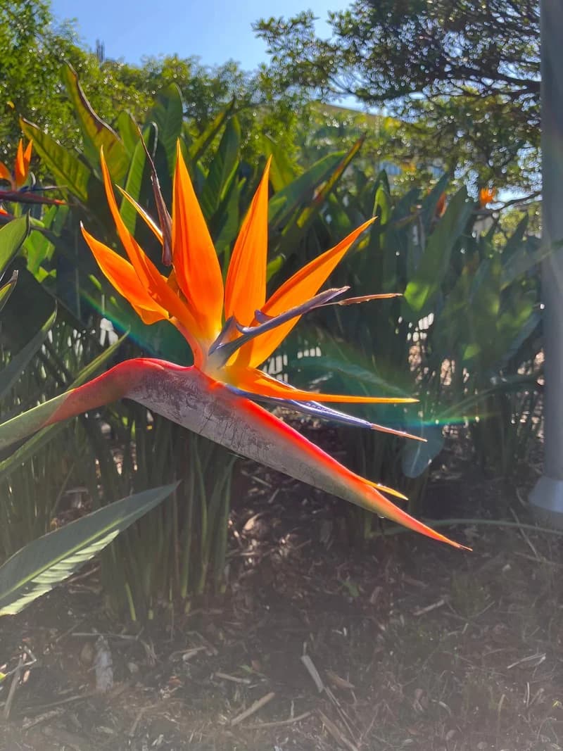 Photo from Thursday, September 18, 2025