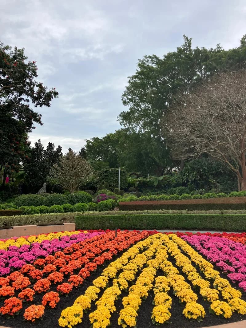 Photo from Saturday, September 20, 2025