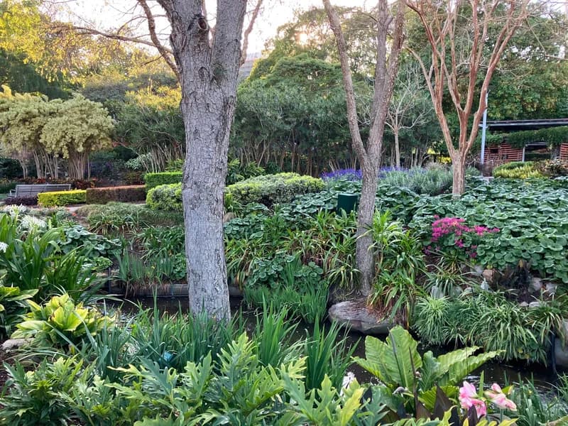 Photo from Tuesday, September 23, 2025