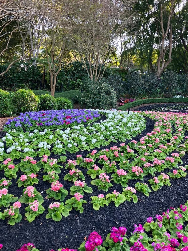 Photo from Saturday, September 27, 2025