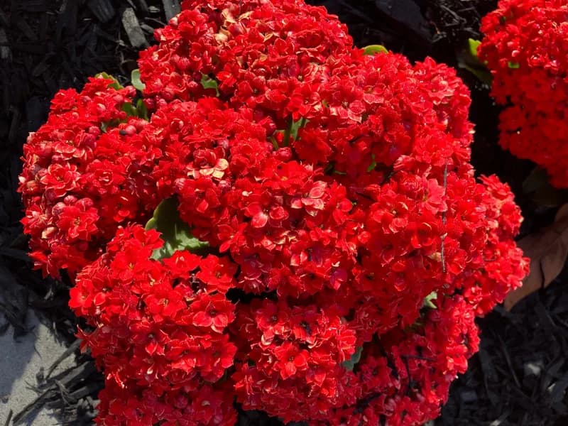 Photo from Sunday, September 28, 2025