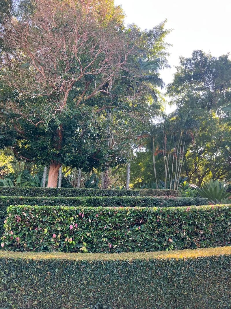 Photo from Thursday, October 2, 2025