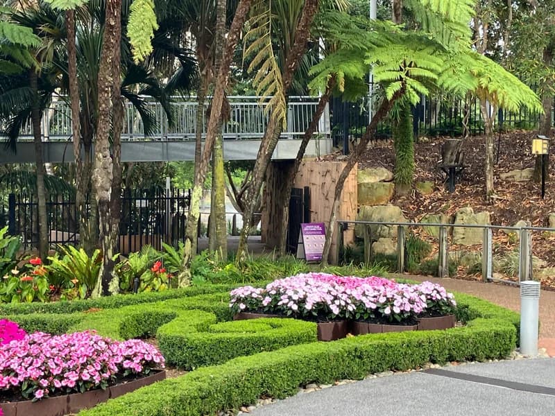 Photo from Wednesday, October 8, 2025