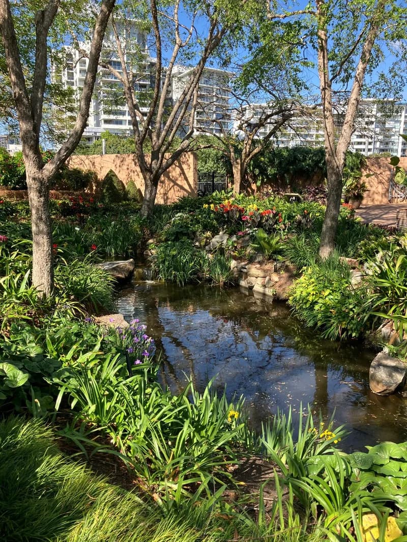 Photo from Thursday, October 9, 2025