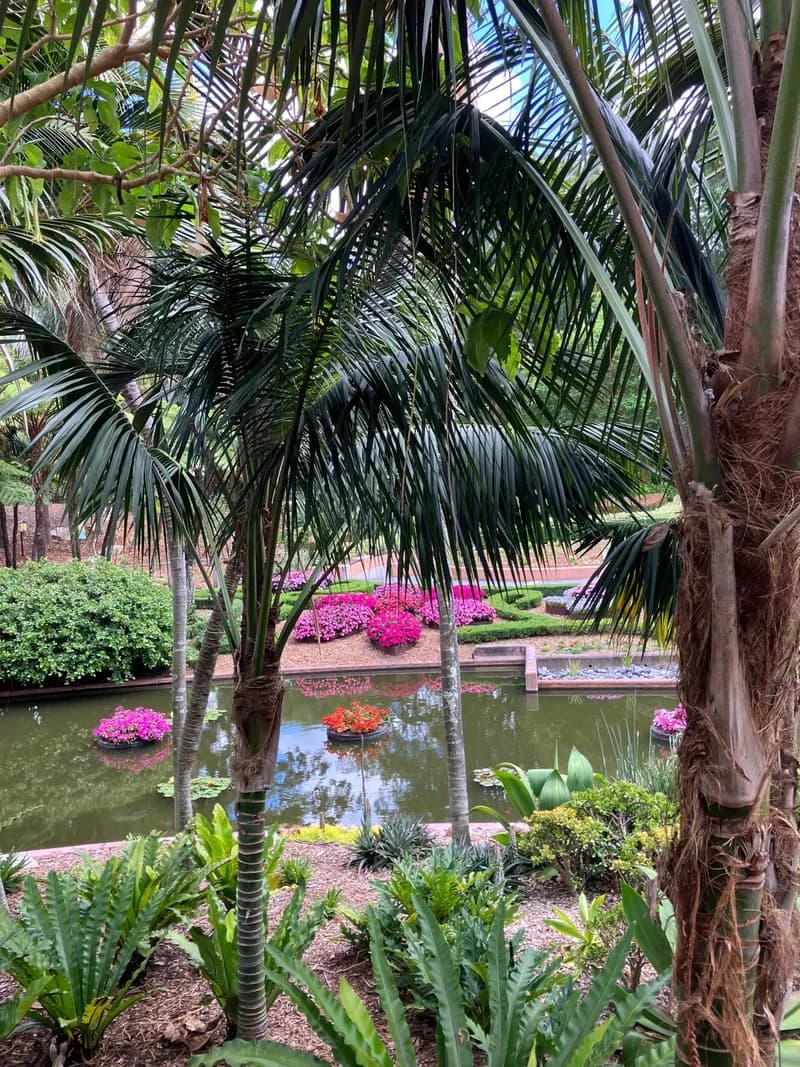 Photo from Thursday, October 16, 2025