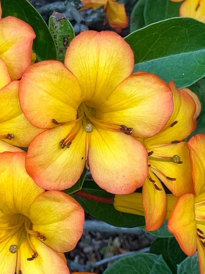 Photo from Monday, October 20, 2025