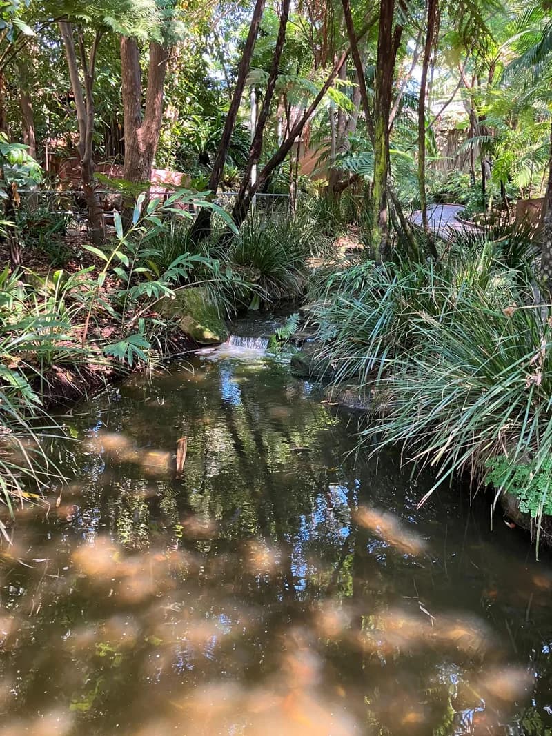 Photo from Tuesday, October 21, 2025