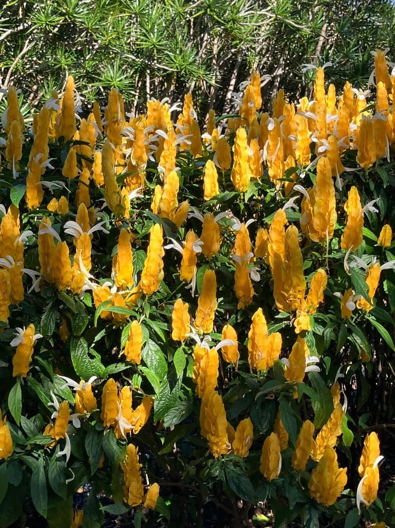 Photo from Monday, October 27, 2025