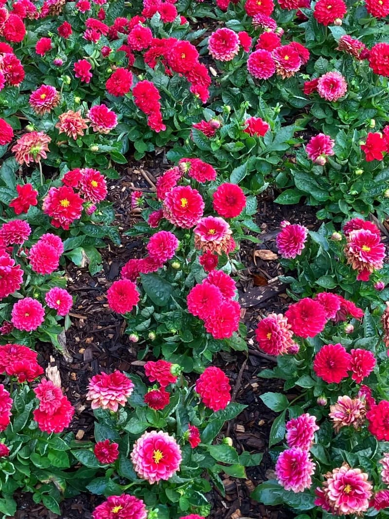 Photo from Friday, October 31, 2025