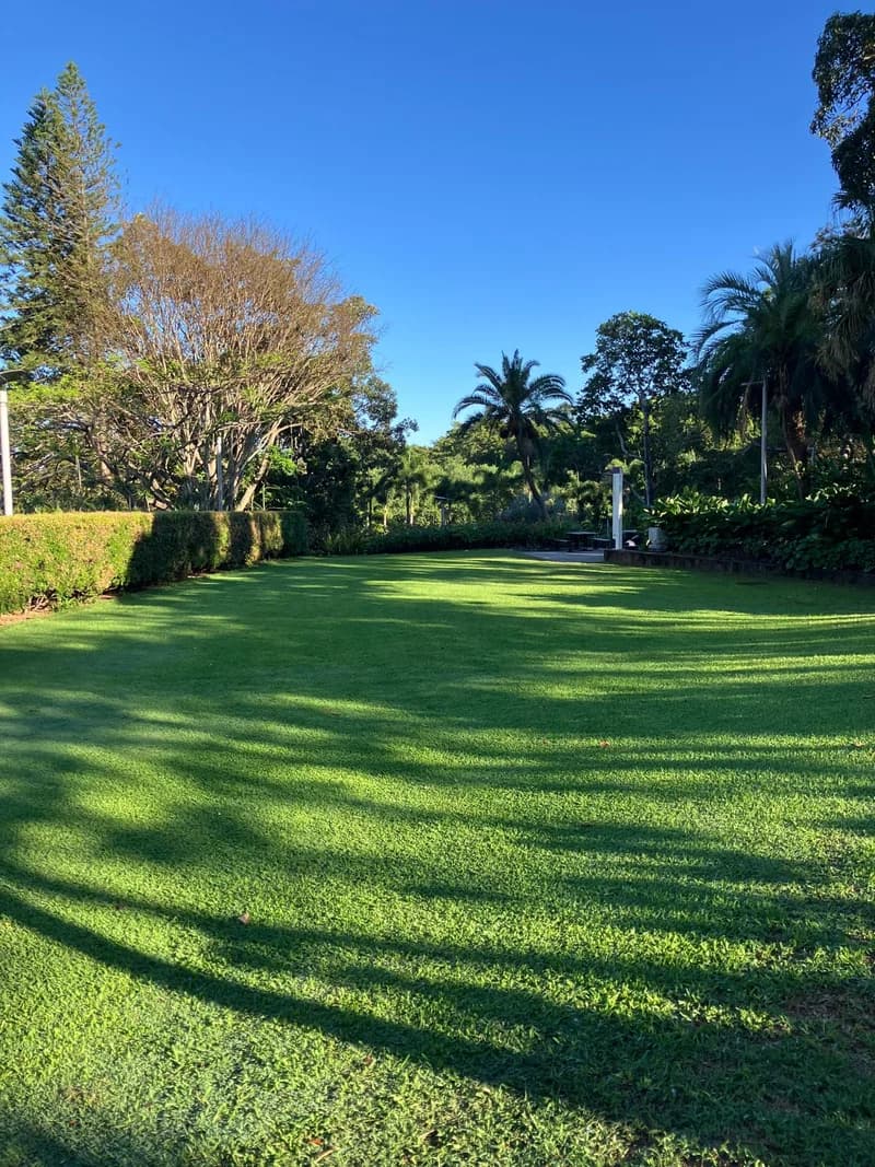 Photo from Wednesday, November 5, 2025