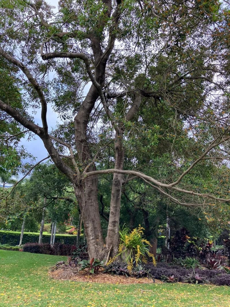 Photo from Monday, November 10, 2025