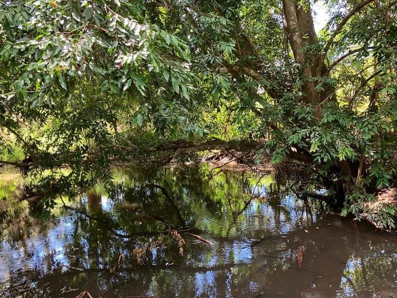 Photo from Friday, December 5, 2025